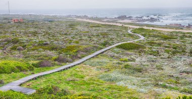 Güney Afrika beach geçit Hint Okyanusu yakınlarındaki