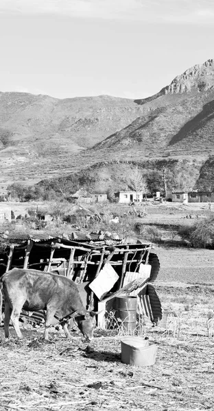 W lesotho street village — Zdjęcie stockowe