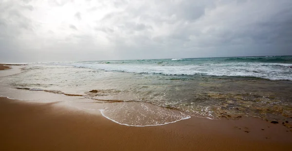 In south africa   sky  ocean       reserve — Stock Photo, Image