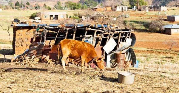 Dans le village de rue lesotho — Photo