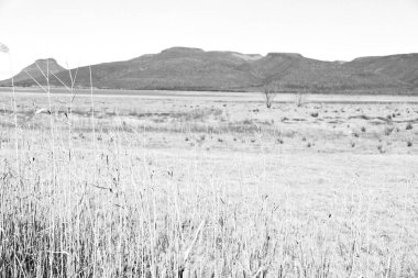  Güney Afrika ıssızlık vadisinde  