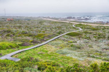 Güney Afrika beach geçit Hint Okyanusu yakınlarındaki