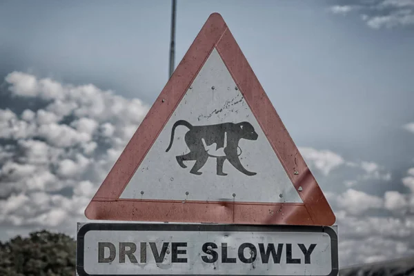 En Sudáfrica primer plano del símbolo del mono —  Fotos de Stock