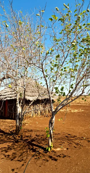 In lesotho Straße Dorf in der Nähe von Hof — Stockfoto