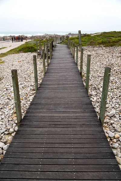 In south  africa beach walkway  near indian ocean — Stock Photo, Image