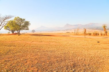   Svaziland yaban hayatı doğa rezerv 