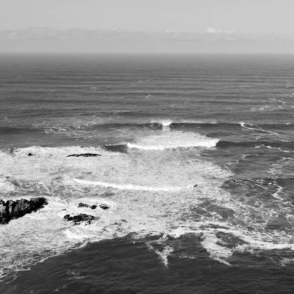 南アフリカ共和国の空海洋保護区の — ストック写真
