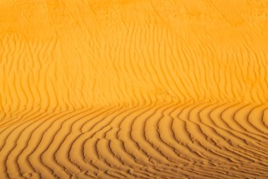 Umman eski çöl ve boş çeyrek soyut doku l