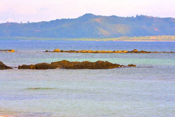 Andilana beach seaweed   indian  madagascar mountain — Stock Photo, Image