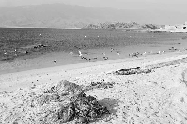 Dans oman arabic mer plage de sable — Photo