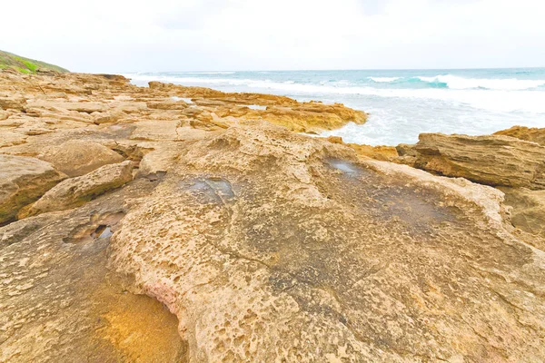  Güney Afrika gökyüzü okyanus doğa rezerv 