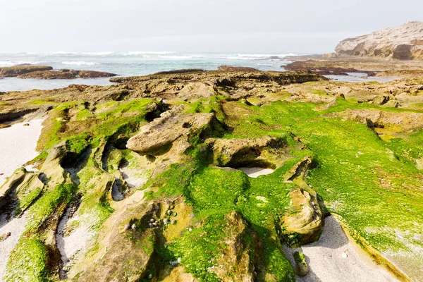 In Sudafrica riserva oceanica del cielo — Foto Stock