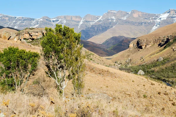 荒廃の南アフリカ共和国谷 — ストック写真