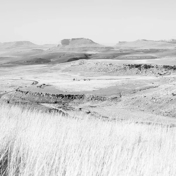 In Sudafrica terra cespuglio e albero — Foto Stock