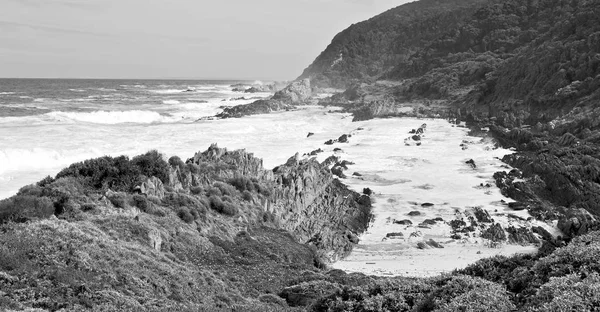 In south africa   sky  ocean       reserve — Stock Photo, Image