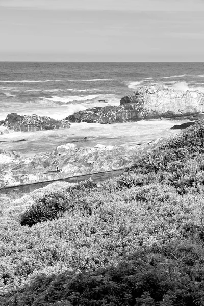   Güney Afrika gökyüzü okyanus yedek olarak  