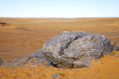  eski fosil gökyüzünde