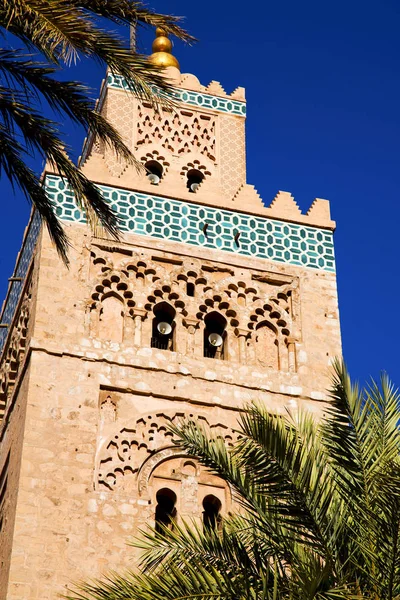 Palm Maroc Afrika Minare din ve mavi gökyüzü — Stok fotoğraf