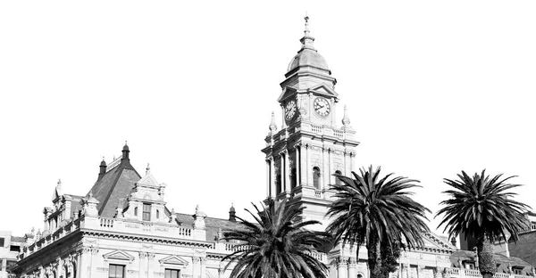 In south africa close up of the    city hall — Stock Photo, Image