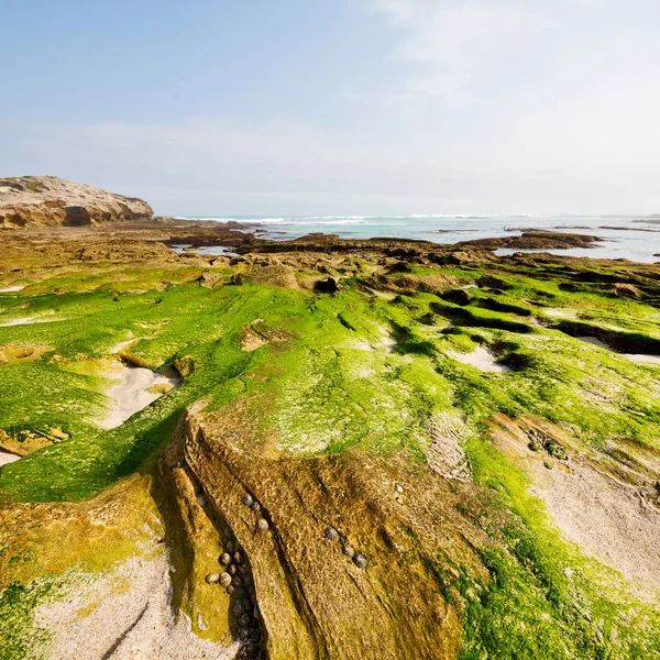 In Sudafrica riserva oceanica del cielo — Foto Stock