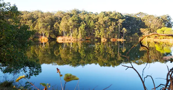Pund sjön och träd reflektion i vatten — Stockfoto