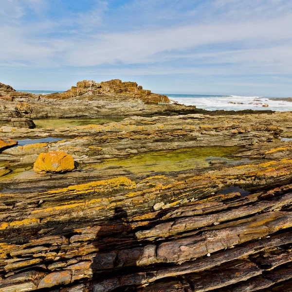 Im südafrikanischen Sky Ocean Reserve — Stockfoto