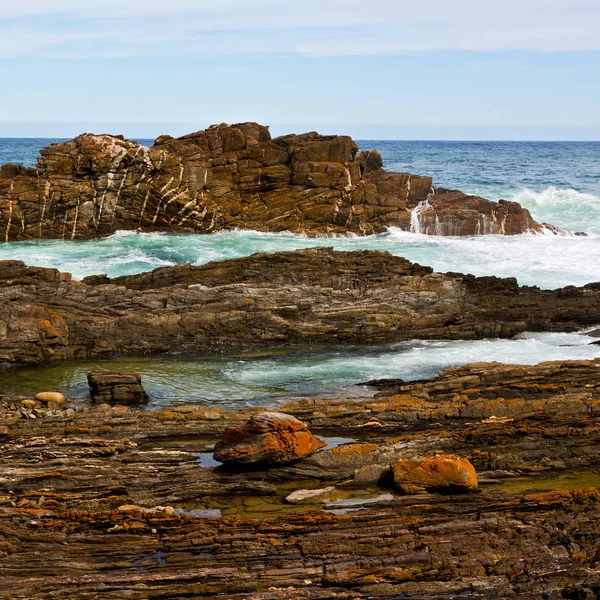 In south africa   sky  ocean      reserve — Stock Photo, Image