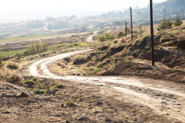   Güney Afrika'da kara çalı ve ağaç 