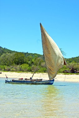 Pirogue plaj deniz yosunu Hint Okyanusu Madagaskar meraklı olmak