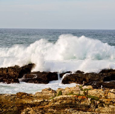   Güney Afrika gökyüzü okyanus yedek olarak  
