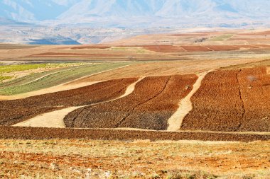 dağ ve coultivation field yakınındaki sokak köy