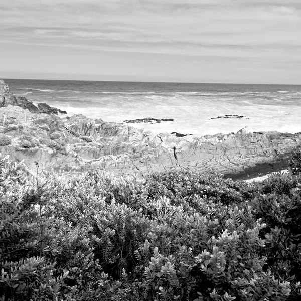 In Zuid-Afrika hemel Oceaan reserve — Stockfoto