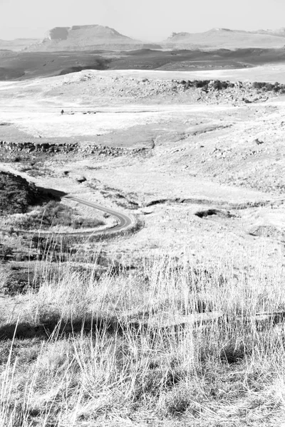 In Sudafrica terra cespuglio e albero — Foto Stock