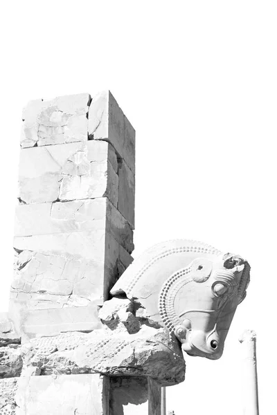 V Íránu persepolis — Stock fotografie