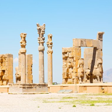 İran persepolis  