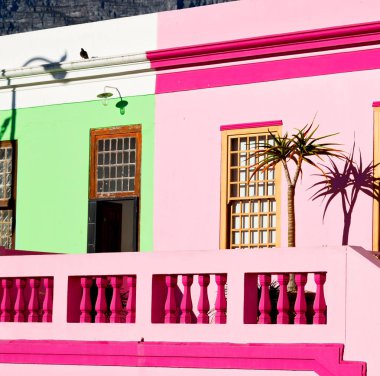 Güney Afrika cape town mimarisinde 