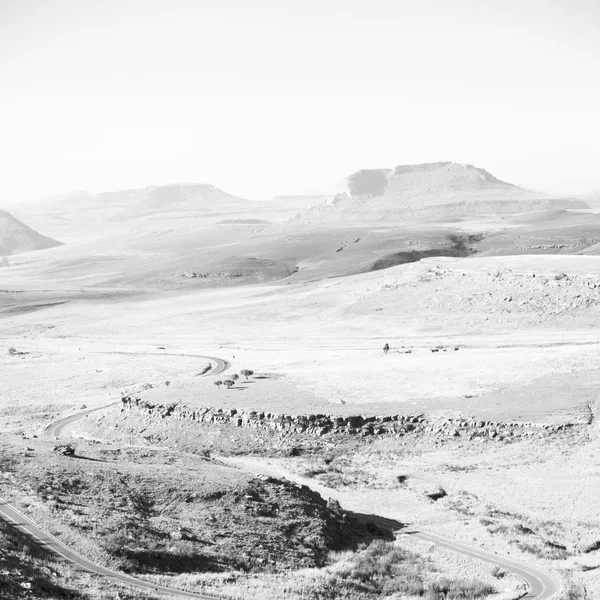 In Sudafrica terra cespuglio e albero — Foto Stock