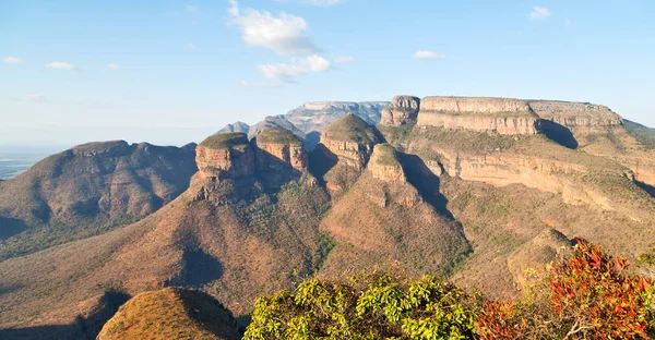 In  south africa    river canyon  plant  and water — Stock Photo, Image