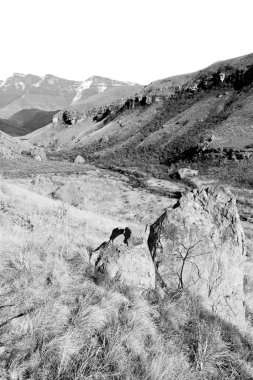   Güney Afrika ıssızlık vadisinde 