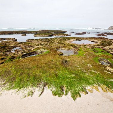  Güney Afrika gökyüzü okyanus yedek olarak