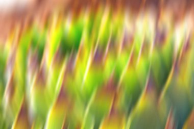 renk ve görüntü arka plan dokusu