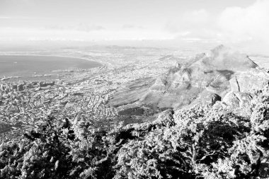 Güney Afrika cape town şehir manzarası içinde Masa Dağı