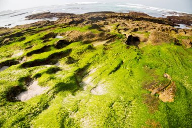  Güney Afrika gökyüzü okyanus yedek olarak