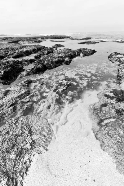 In Sudafrica riserva oceanica del cielo — Foto Stock