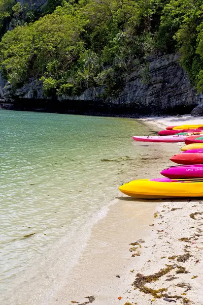 Boat coastline of    green lagoon — Stock Photo, Image