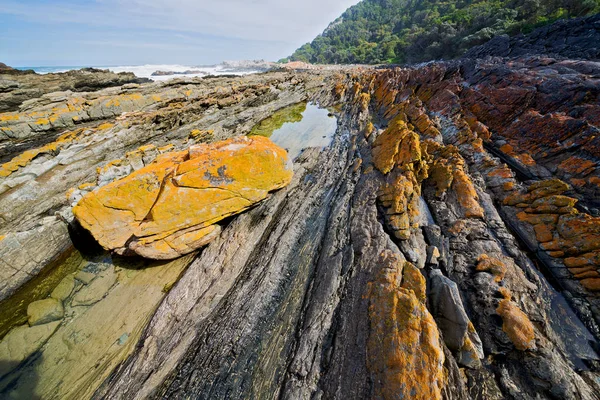 V Jižní Africe sky oceánu rezervaci — Stock fotografie