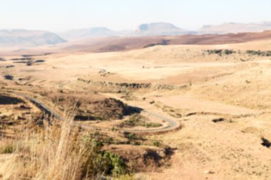   Güney Afrika'da kara çalı ve ağaç 