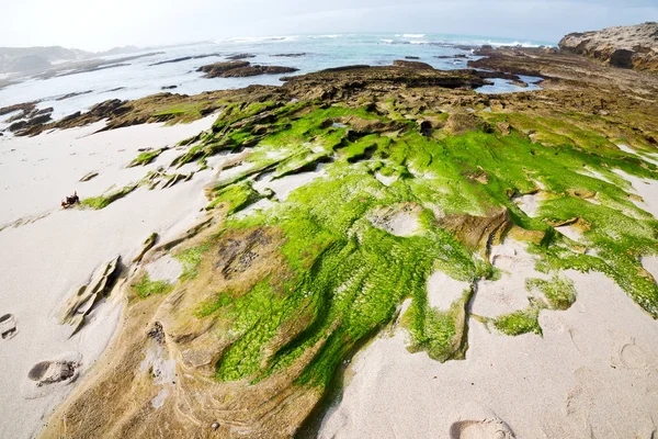 Na África do Sul céu oceano reserva — Fotografia de Stock