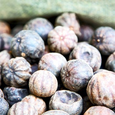  soyut desen kuru limon 