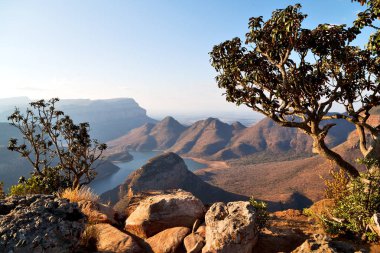   Güney Afrika nehir kanyonun bitki ve su   